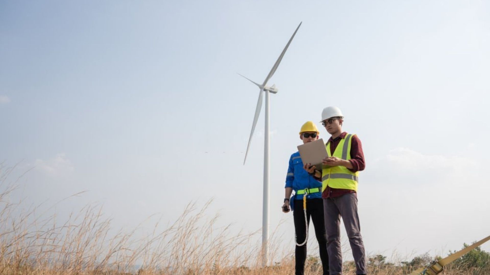 Enerji Yöneticisi Olma Şartları
